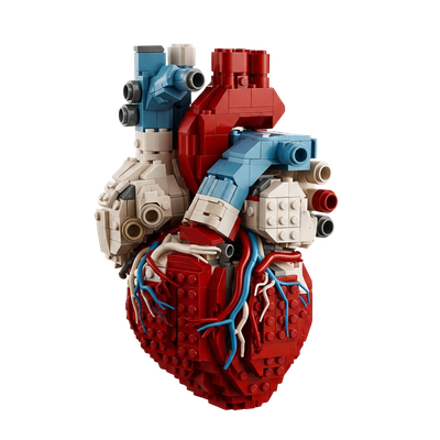 Heart