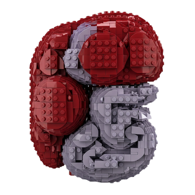 Spleen